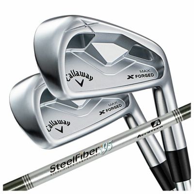 【11月11日発売予定・予約受付中】PINGG430アイアンダイナミックゴールドシャフト#6-PW・45°(6本組)日本正規品