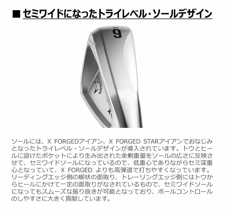 【11月11日発売予定・予約受付中】PINGG430アイアンダイナミックゴールドシャフト#6-PW・45°(6本組)日本正規品