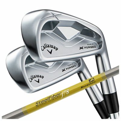 【11月11日発売予定・予約受付中】PINGG430アイアンダイナミックゴールドシャフト#6-PW・45°(6本組)日本正規品