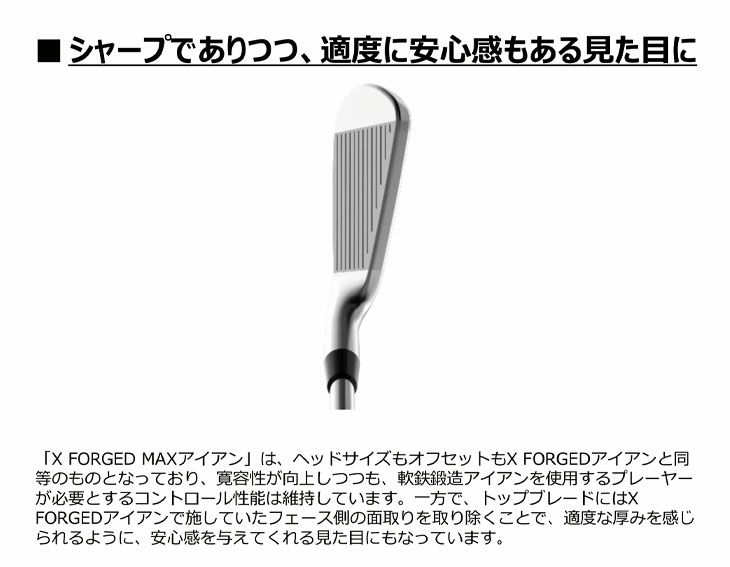 【11月11日発売予定・予約受付中】PINGG430アイアンダイナミックゴールドシャフト#6-PW・45°(6本組)日本正規品