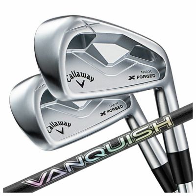 【11月11日発売予定・予約受付中】PINGG430アイアンダイナミックゴールドシャフト#6-PW・45°(6本組)日本正規品