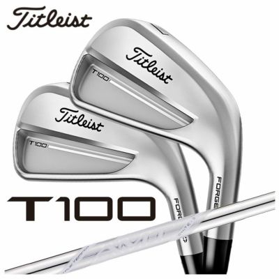 【大特価・送料無料】タイトリストVG3アイアンNS950・DGシャフト(5～9.Pｗ)6本組み