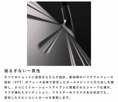 タイトリストT100アイアンN.S.PROモーダス3Tour115シャフト#5-Pw6本セット日本正規品2023年メンズTitleist