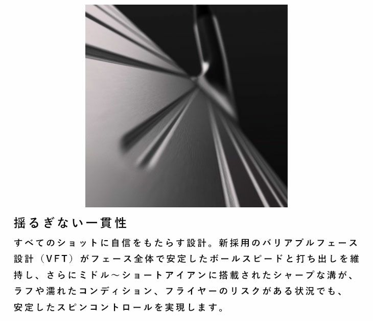 タイトリストT100アイアンN.S.PROモーダス3Tour115シャフト#5-Pw6本セット日本正規品2023年メンズTitleist