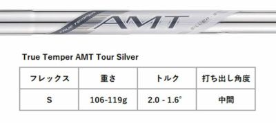 タイトリストT100アイアンN.S.PROモーダス3Tour115シャフト#5-Pw6本セット日本正規品2023年メンズTitleist