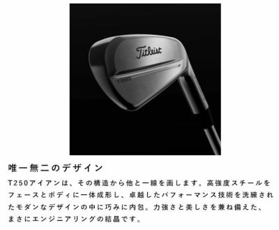 タイトリストT100アイアンN.S.PROモーダス3Tour115シャフト#5-Pw6本セット日本正規品2023年メンズTitleist
