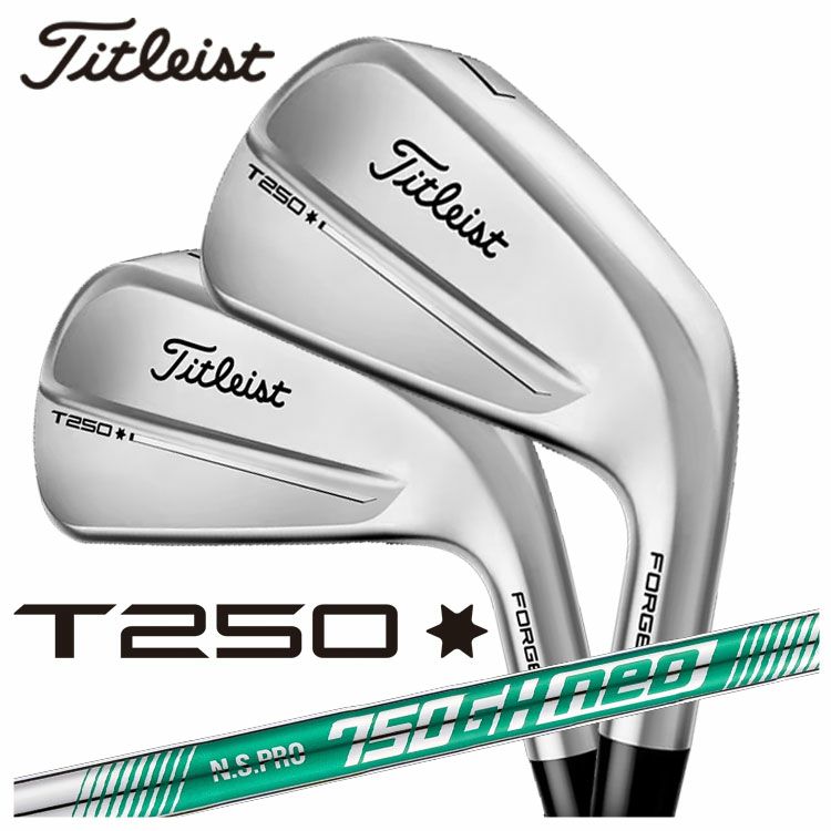 【大特価・送料無料】タイトリストVG3アイアンNS950・DGシャフト(5～9.Pｗ)6本組み