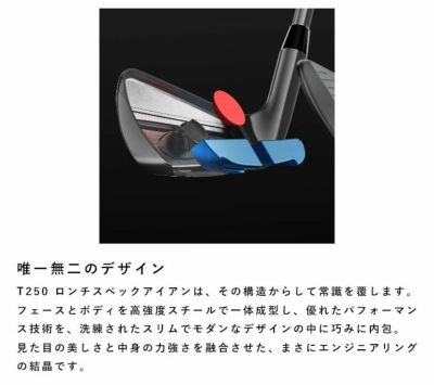タイトリストT100アイアンN.S.PROモーダス3Tour115シャフト#5-Pw6本セット日本正規品2023年メンズTitleist