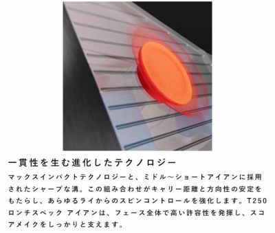 タイトリストT100アイアンN.S.PROモーダス3Tour115シャフト#5-Pw6本セット日本正規品2023年メンズTitleist