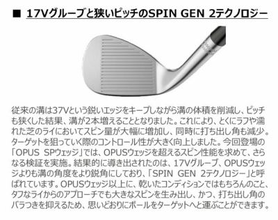 キャロウェイJAWSFORGEDウェッジチャコールブラックDynamicGoldバーガンディシャフト日本正規品