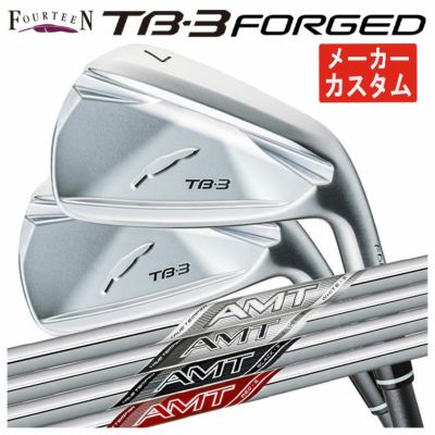 フォーティーン(FOURTEEN)D036ウェッジNS950GHHTシャフト