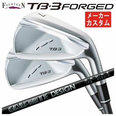 メーカーカスタム】フォーティーン TB3 フォージド アイアン サテン