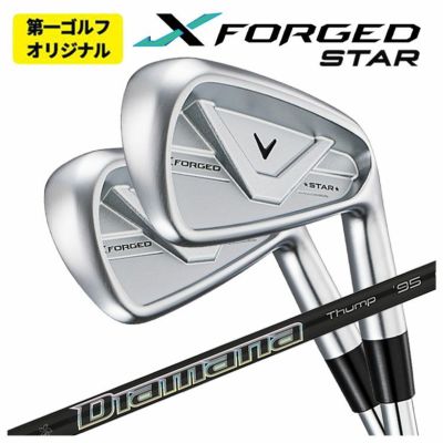 【11月11日発売予定・予約受付中】PINGG430アイアンダイナミックゴールドシャフト#6-PW・45°(6本組)日本正規品