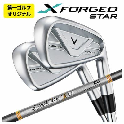 【11月11日発売予定・予約受付中】PINGG430アイアンダイナミックゴールドシャフト#6-PW・45°(6本組)日本正規品