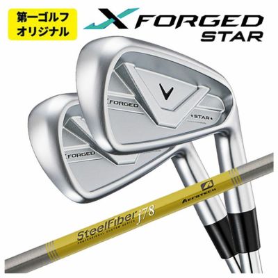 【11月11日発売予定・予約受付中】PINGG430アイアンダイナミックゴールドシャフト#6-PW・45°(6本組)日本正規品