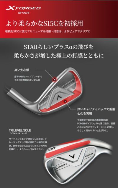 【11月11日発売予定・予約受付中】PINGG430アイアンダイナミックゴールドシャフト#6-PW・45°(6本組)日本正規品