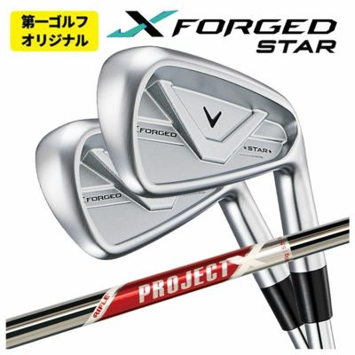 【11月11日発売予定・予約受付中】PINGG430アイアンダイナミックゴールドシャフト#6-PW・45°(6本組)日本正規品