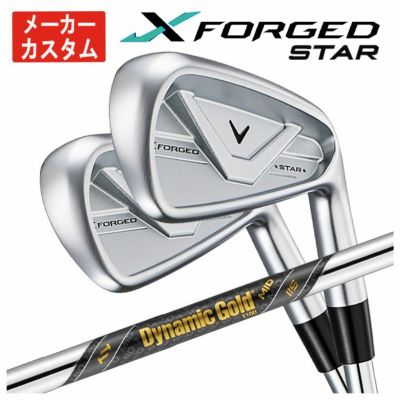 【11月11日発売予定・予約受付中】PINGG430アイアンダイナミックゴールドシャフト#6-PW・45°(6本組)日本正規品