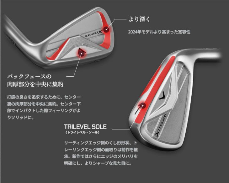 【11月11日発売予定・予約受付中】PINGG430アイアンダイナミックゴールドシャフト#6-PW・45°(6本組)日本正規品