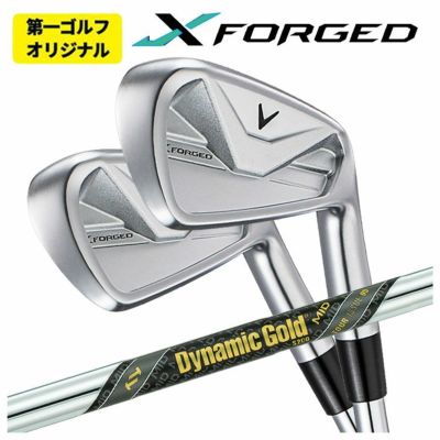 【11月11日発売予定・予約受付中】PINGG430アイアンダイナミックゴールドシャフト#6-PW・45°(6本組)日本正規品