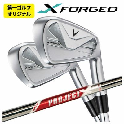 【11月11日発売予定・予約受付中】PINGG430アイアンダイナミックゴールドシャフト#6-PW・45°(6本組)日本正規品