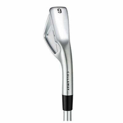 【11月11日発売予定・予約受付中】PINGG430アイアンダイナミックゴールドシャフト#6-PW・45°(6本組)日本正規品